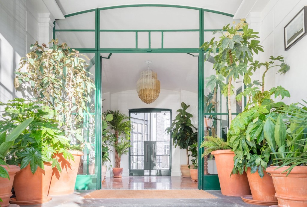 Sunlit conservatory with a vibrant collection of large potted plants, green trim, and a vintage chandelier, offering a peaceful and green oasis in an urban home.