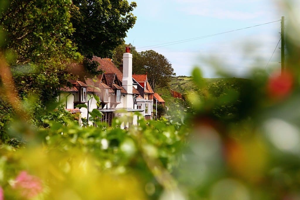 Charming country houses peek through lush greenery, with a prominent white chimney and traditional design, nestled in a serene, verdant landscape, embodying rural elegance.