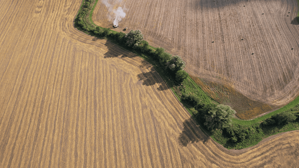 Aerial view of a curved agricultural field showing freshly harvested crop lines, with a green hedgerow winding through the landscape, showcasing sustainable land use in rural areas.