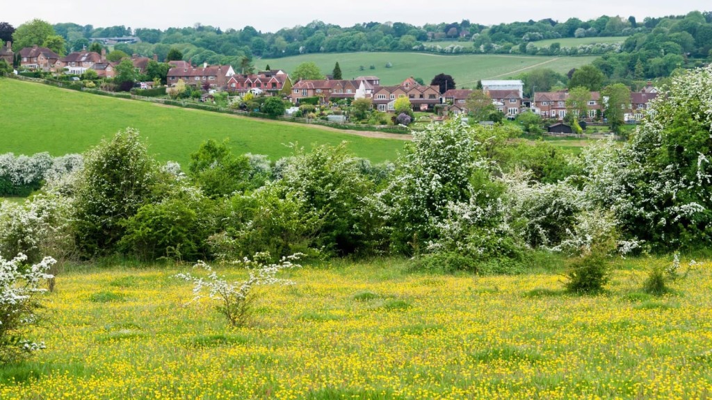 View of a village bordering open countryside with fields and wildflowers in the foreground, illustrating the visual sensitivity of Green Belt openness.
