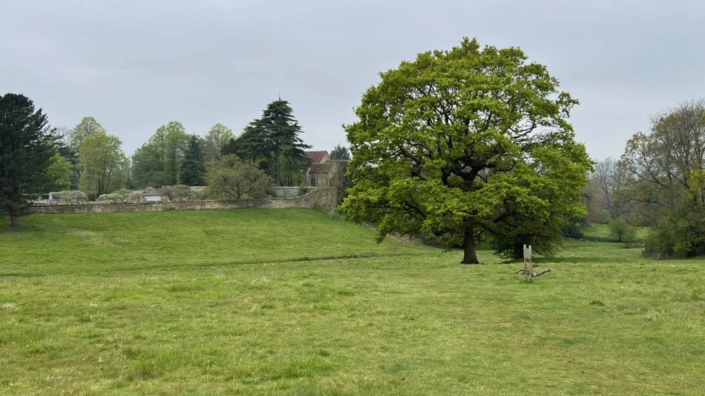 Expansive grassy field with mature trees and historic buildings in the background, relevant to Green Belt appeals.
