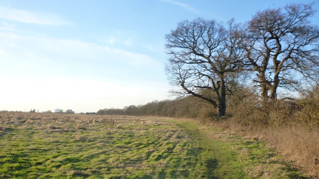 A view of the tranquil pastoral landscape from the five-bar gate on Hanwell's side of Warren Farm, looking north-west across the site.