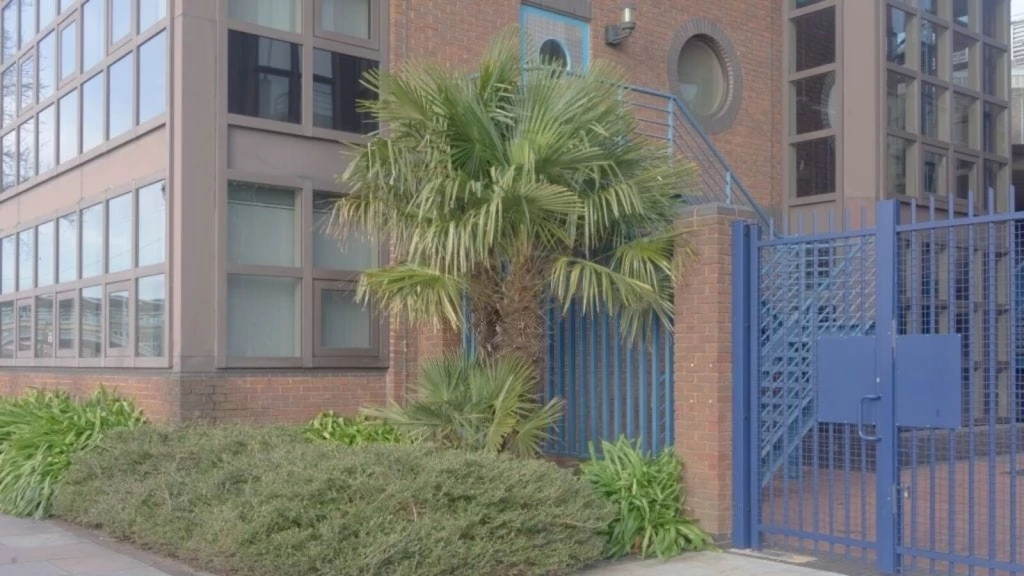 Urban office building exterior with a tropical palm tree and lush greenery in the foreground, featuring a large blue gate and matching windows, set against a clear sky, indicative of the blend between natural elements and commercial architecture.