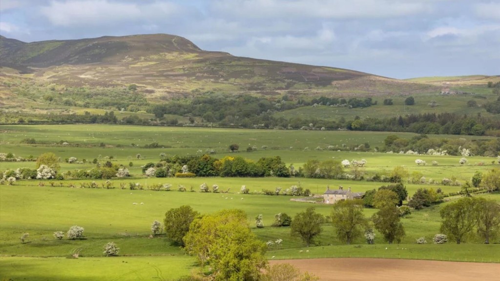 Scenic view of the UK Green Belt showcasing lush green fields, trees, and rolling hills, highlighting environmental preservation.