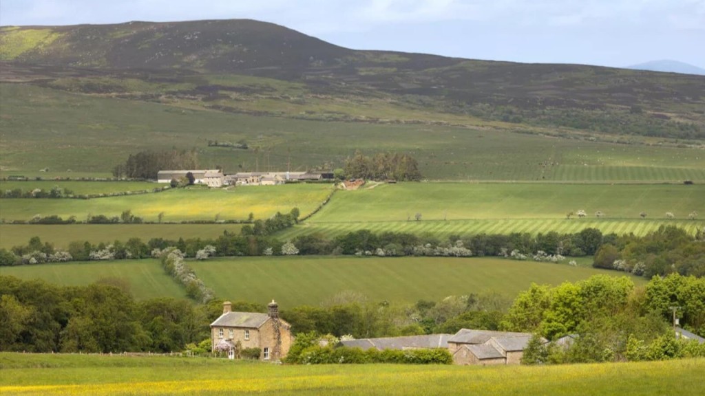 Expansive view of lush green fields and rolling hills in the countryside, illustrating the potential impact of Labour's compulsory purchase and land assembly reforms on rural land development. 