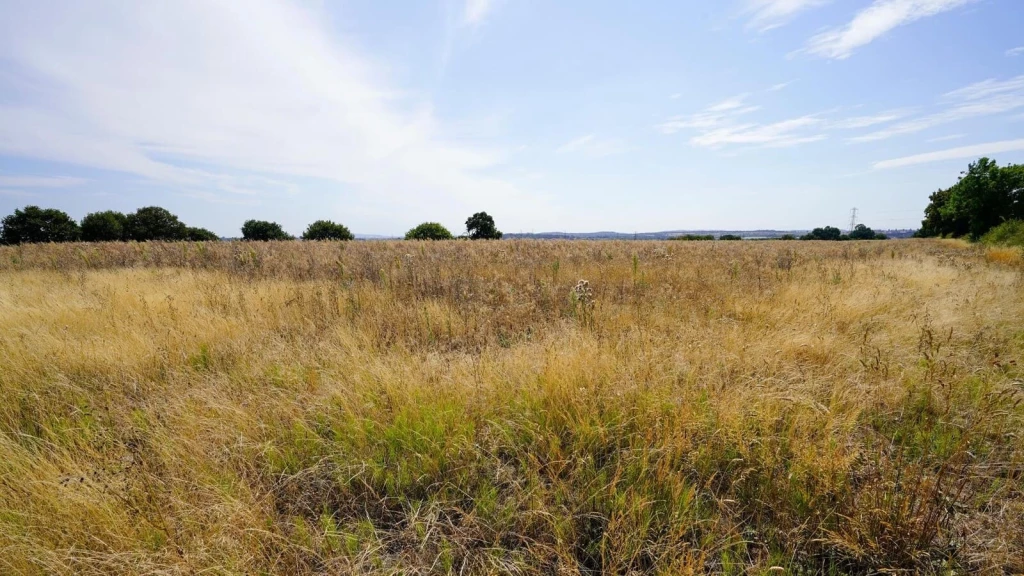 Wide open field typical of Green Belt or countryside land, often marketed for land banking despite low prospects of planning permission.