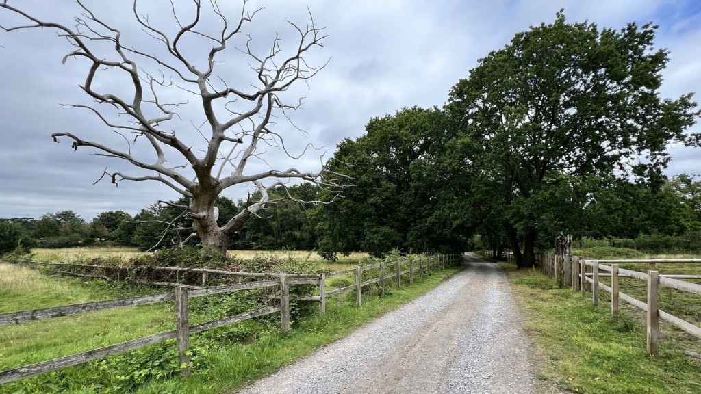 Wide landscape shot of green open space in the Metropolitan Green Belt, representing land under review for development in the context of the London Plan and Green Belt reform.