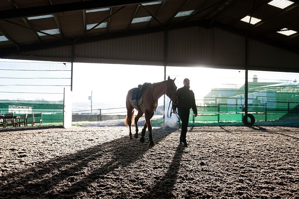 Brown horse being guided by it's reigns by it's owner leading it back into the stables on a bright and early sunny morning