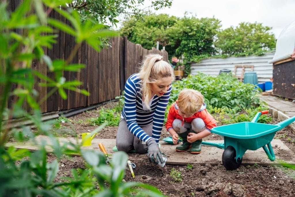 Mother and child engaging in urban gardening, planting vegetables in a backyard garden with a teal wheelbarrow, promoting sustainable living and home-grown produce.