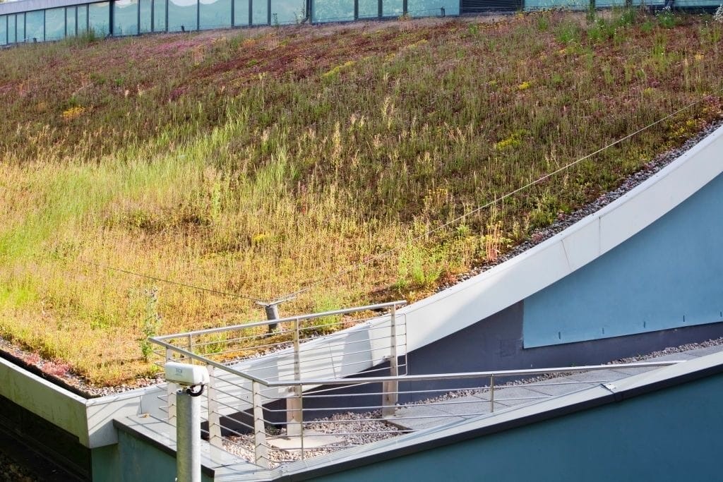 Sloped green roof with a variety of drought-resistant plants and wildflowers on an urban building, integrating eco-friendly design and sustainable architecture with a metal railing leading to the rooftop garden.