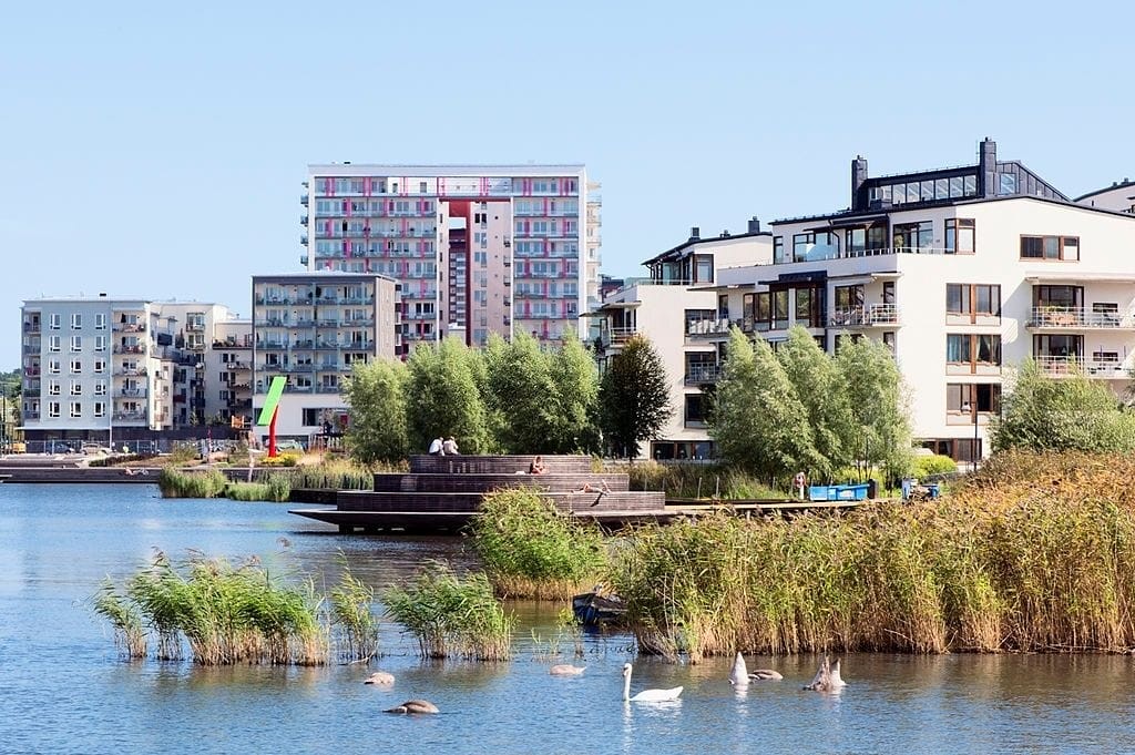 Swans swimming in an urban lake with modern residential buildings and lush greenery in the background, showcasing sustainable urban development and integrated natural habitats.